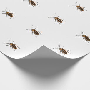 Papier Cadeau Kafka