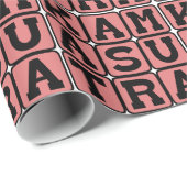 Papier Cadeau Kama Sutra, Manuel d'instruction pour adultes (Coin rond)