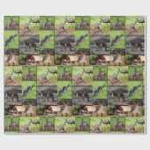 Papier Cadeau Kangaroo Photo Collage, (Plat)