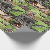 Papier Cadeau Kangaroo Photo Collage, (Coin)