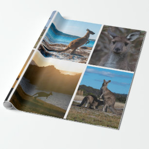 Papier Cadeau Kangaroos d'Australie