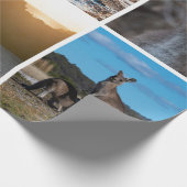 Papier Cadeau Kangaroos d'Australie (Coin)