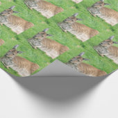 Papier Cadeau Kangourou (Coin)