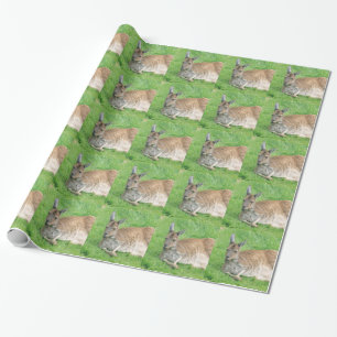 Papier Cadeau Kangourou
