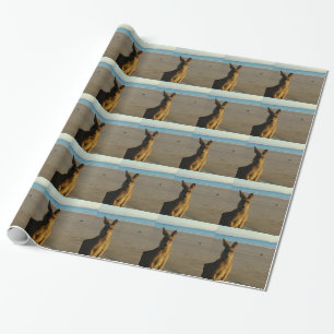 Papier Cadeau Kangourou