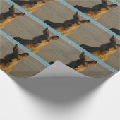 Papier Cadeau Kangourous (Coin)