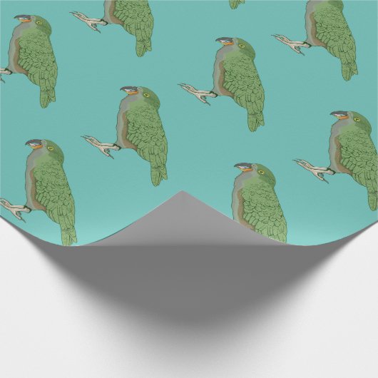 Papier Cadeau Kea New Zealand Bird (Coin)