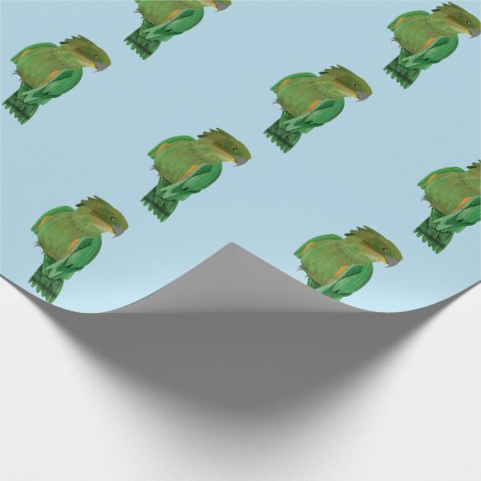 Papier Cadeau Kea NZ BIRD (Coin)