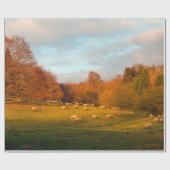 Papier Cadeau Kiftsgate (Plat)