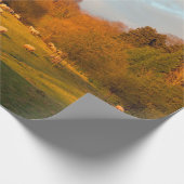 Papier Cadeau Kiftsgate (Coin)