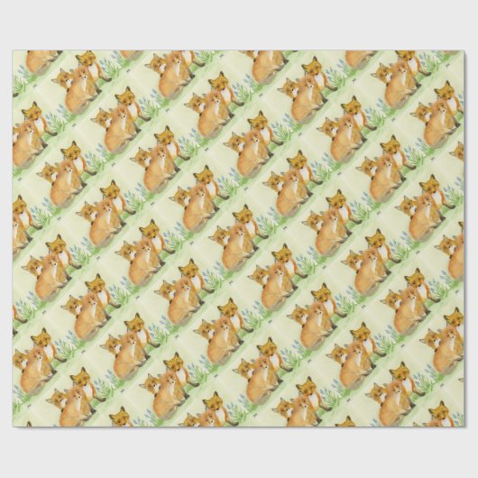 Papier Cadeau Kits Fox (Plat)