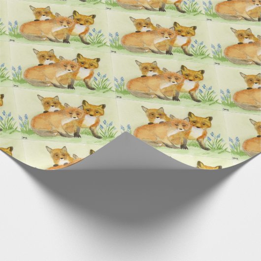 Papier Cadeau Kits Fox (Coin)