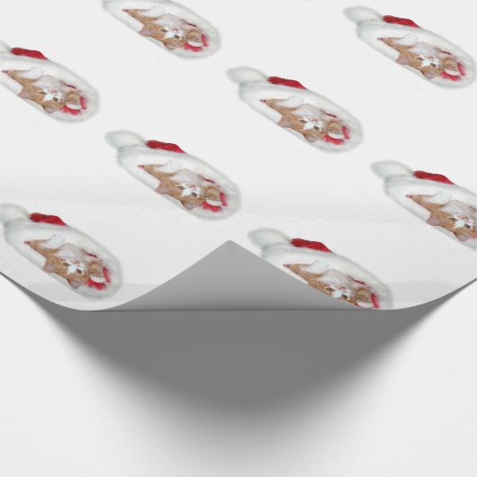 Papier Cadeau Kitten à Santa hat (Coin)