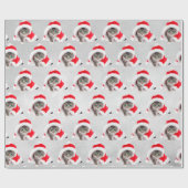 Papier Cadeau Kitten De Noël En Casquette Sur Grey (Plat)