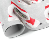 Papier Cadeau Kitten De Noël En Casquette Sur Grey (Coin rond)