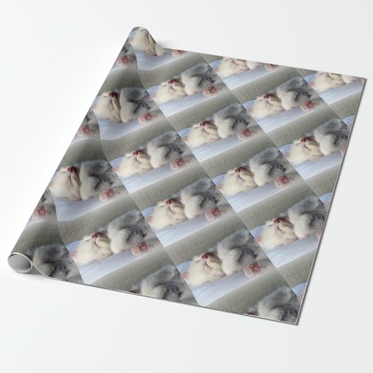Papier Cadeau Kitten endormi (Déroulé)