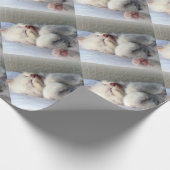 Papier Cadeau Kitten endormi (Coin)