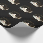 Papier Cadeau Kitten noir et blanc (Coin)