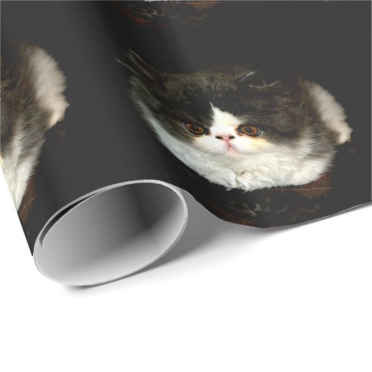 Papier Cadeau Kitten noir et blanc (Coin rond)