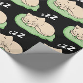 Papier Cadeau Kitty Thunder-Cove dormant (Coin)