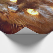 Papier Cadeau kittycat noir (Coin)