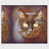 Papier Cadeau kittycat noir (Plat)