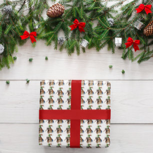 Papier Cadeau Kiwi de Noël cosy