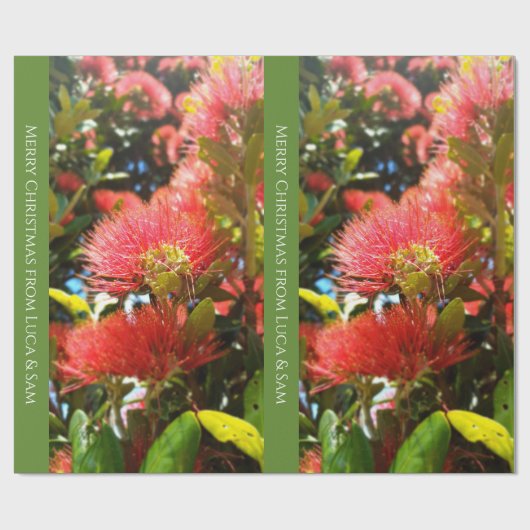 PAPIER CADEAU KIWI NZ ROUGE VERT POHUTUKAWA FLEURS XMAS MESSAGE (Plat)