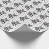 Papier Cadeau Koala Bears sur les Pois (Coin)