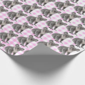 Papier Cadeau Koala Bears sur Pink Ginhgam (Coin)