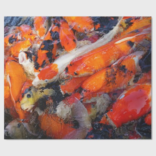Papier Cadeau Koi (Plat)