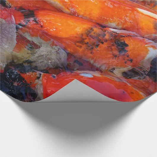Papier Cadeau Koi (Coin)