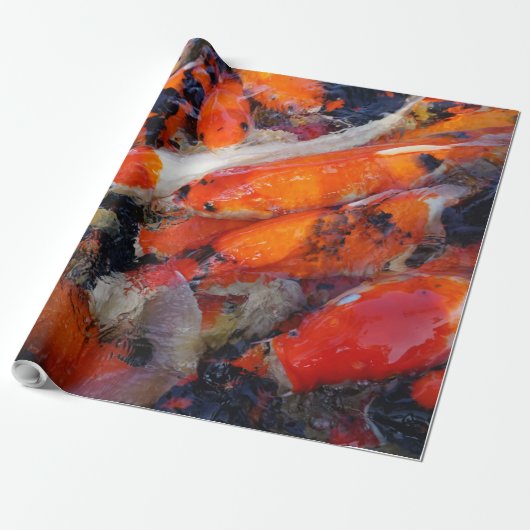 Papier Cadeau Koi (Déroulé)