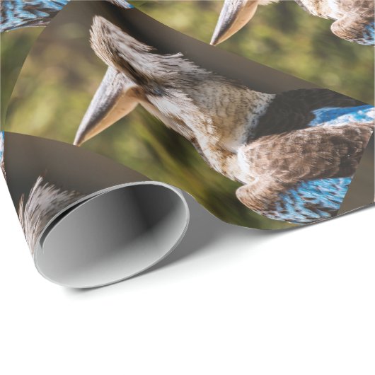 Papier Cadeau Kookaburra (Coin rond)