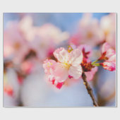 Papier Cadeau La Beauté Brillante Des Fleurs De Sakura Rose (Plat)