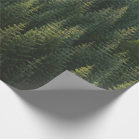 Papier Cadeau La forêt (Coin)