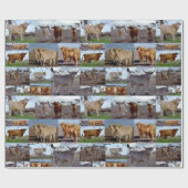 Papier Cadeau La gloire des Highlands : un collage photo de vach (Plat)