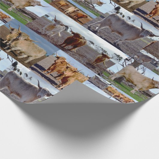 Papier Cadeau La gloire des Highlands : un collage photo de vach (Coin)