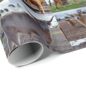 Papier Cadeau La gloire des Highlands : un collage photo de vach (Coin rond)