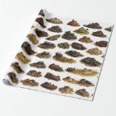 Papier Cadeau La Grande Collection de Caca (Déroulé)