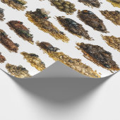Papier Cadeau La Grande Collection de Caca (Coin)