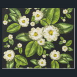 Papier Cadeau La magnolia fleurit le papier d'emballage<br><div class="desc">Conception de papier d'emballage de fleur de magnolia basée sur notre copie d'art de la magnolia #9,  celle-ci avec l'arrière - plan noir dramatique.</div>