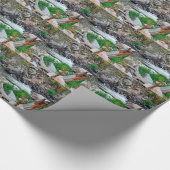 Papier Cadeau La montagne de l'eau mouille (Coin)