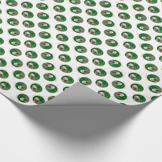 Papier Cadeau La paix de Spinone Italiano (Coin)