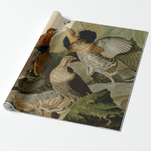 Papier Cadeau La peinture d'Audubon d'un trio de grouse de