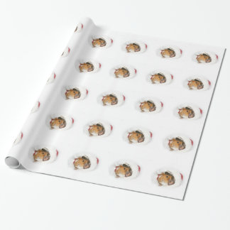 Papier Cadeau La poche choie Noël