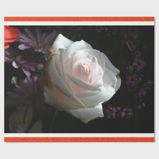 Papier Cadeau La Rose Blanche (Plat)
