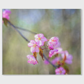 Papier Cadeau La Simple Beauté Des Fleurs Sakura (Plat)
