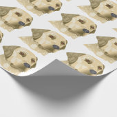 Papier Cadeau Laboratoire jaune (Coin)