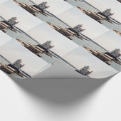 Papier Cadeau Lac Erie Lighthouse (Coin)